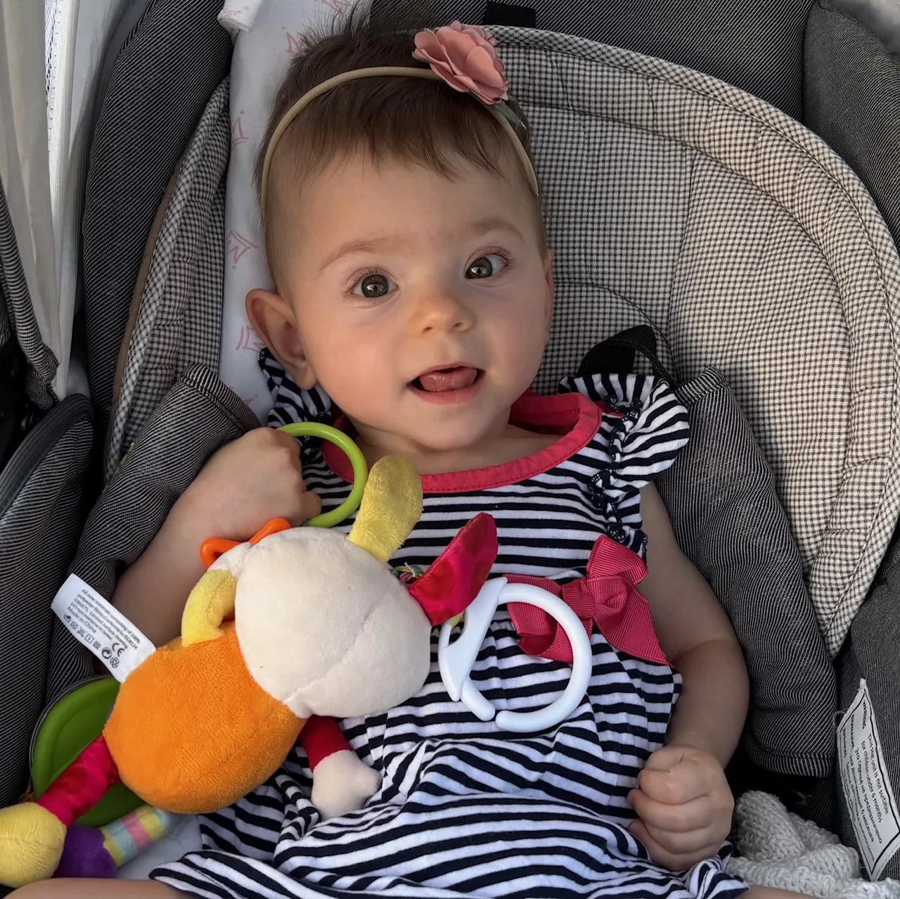 Смотреть фотографию